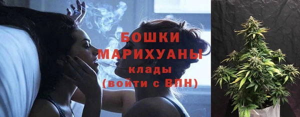 гидропоника Инта