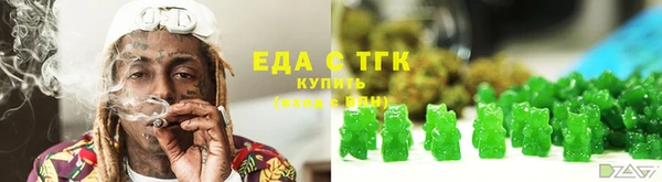 соль ск Инсар