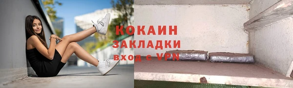 соль ск Инсар