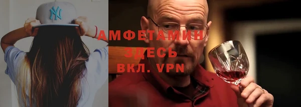 соль ск Инсар