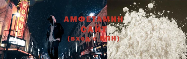 соль ск Инсар