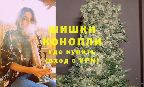 соль ск Инсар