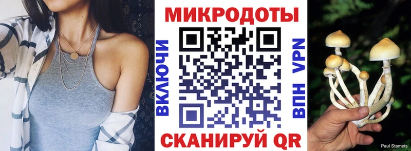 Купить где  Западная Двина  Галлюциногенные грибы мицелий 